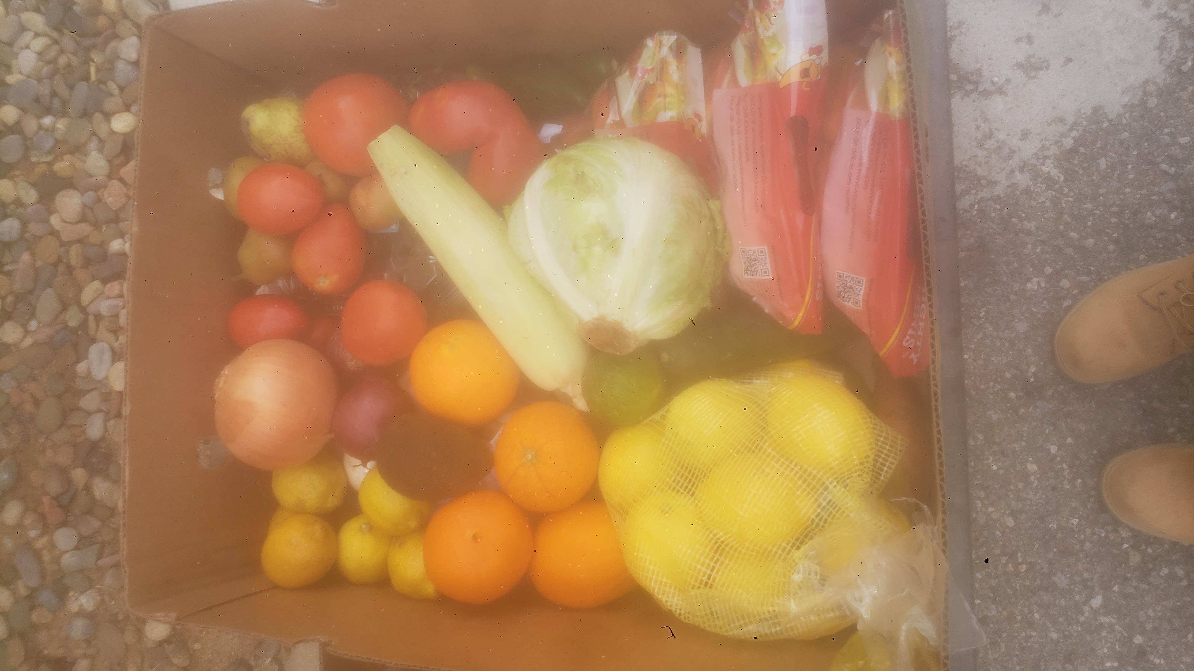 Box of produce such as lemons and oranges for food distrubtion with a pair of boot standing in front of it.